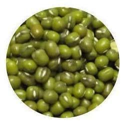 KG GREEN BEANS 1 KG